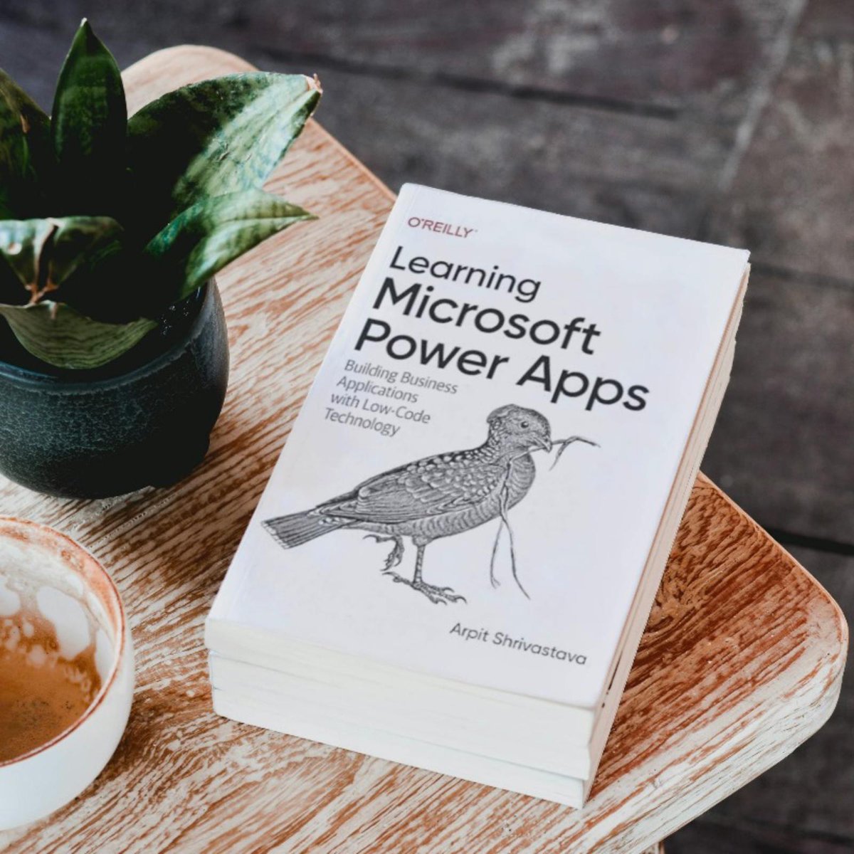 Arpit Shrivastava, MVP 🇮🇳 tweet media