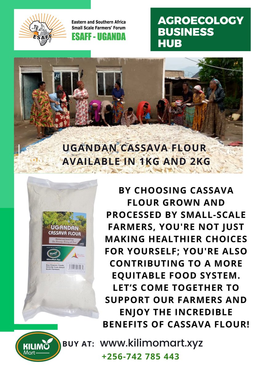 KilimoMart's tweet image. #HealthyChoices
#AgroecologyBusinessHub
🌟 Experience the magic of #CassavaFlour! A versatile, gluten-free alternative that brings nutrition and taste to every dish. Try it today and see the difference! 
Buy at: kilimomart.xyz
Supporting small-scale farmer-led businesses