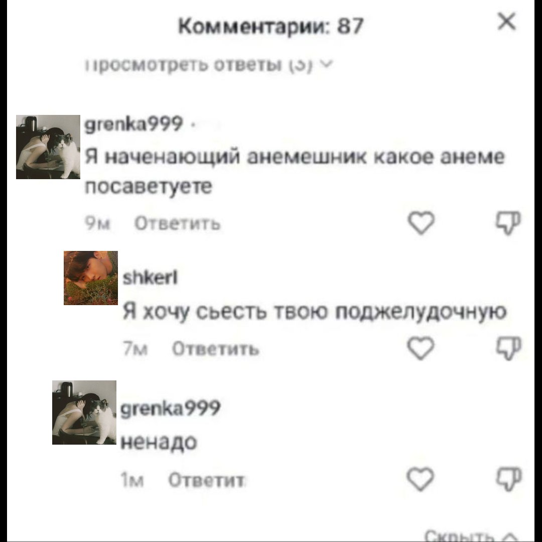 клэмми tweet media