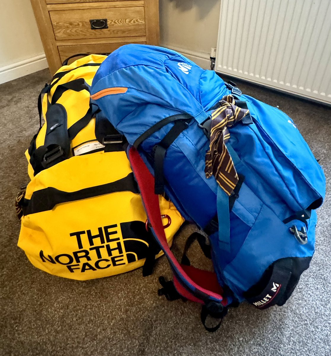 Steve Hill MBE tweet media