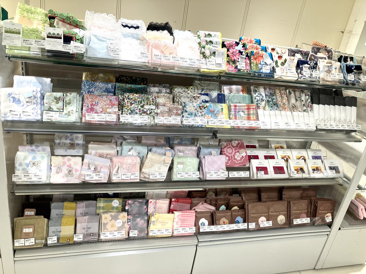 数量限定品、入荷しました‼️ 万有引力の法則を発見した🌲🍎ニュートン