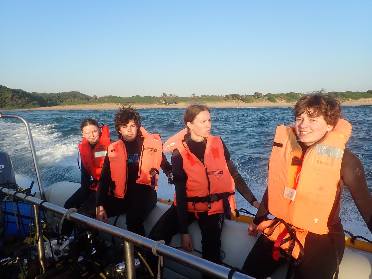 The dive Team gear up and head for their last dive at 6.30 am on Thursday. And we got what we came for, Sharks! 2 stunning white tipped reef sharks. Simply awesome! 🦈 🦈🦈🦈🦈. Great way to mark my 50th dive with <a href="/opwall/">Operation Wallacea</a>.