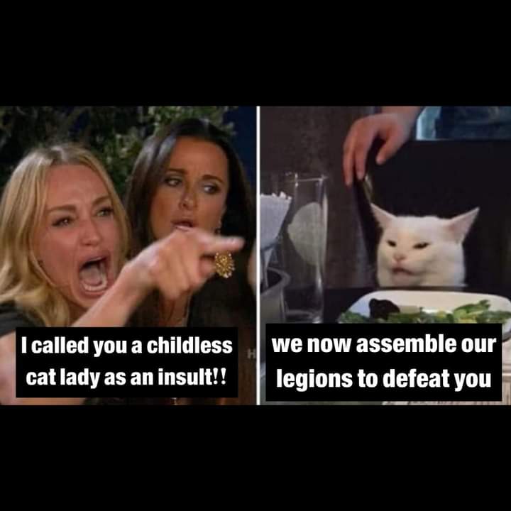 NillahT's tweet image. #wenotgoingback #VoteBlue2024ProtectWomensRights