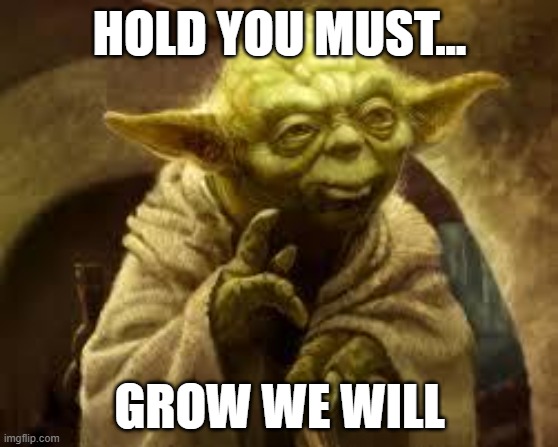 obijuansol's tweet photo. 🚀✨ We made it to Raydium! The Force is strong with us! 🌟 Celebrate this milestone with us and join the Obi-Juan community. Together, we'll rescue dogs and conquer the galaxy! 🐾💫 #ObiJuanCoin #JediCrypto #RaydiumBound https://t.co/7f2l9HgbPp