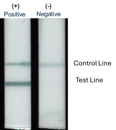 Stream Bio Ltd tweet media