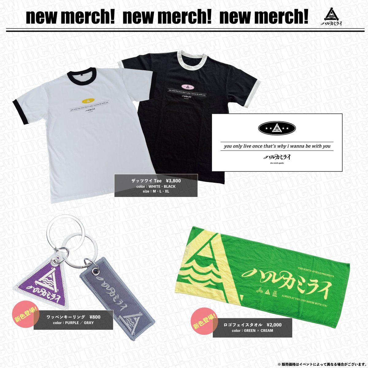 THE NINTH APOLLOまとめ売りCDセット ハルカミライ 等 THE NINTH APOLLOまとめ売りCDセット ハルカミライ 等 THE NINTH