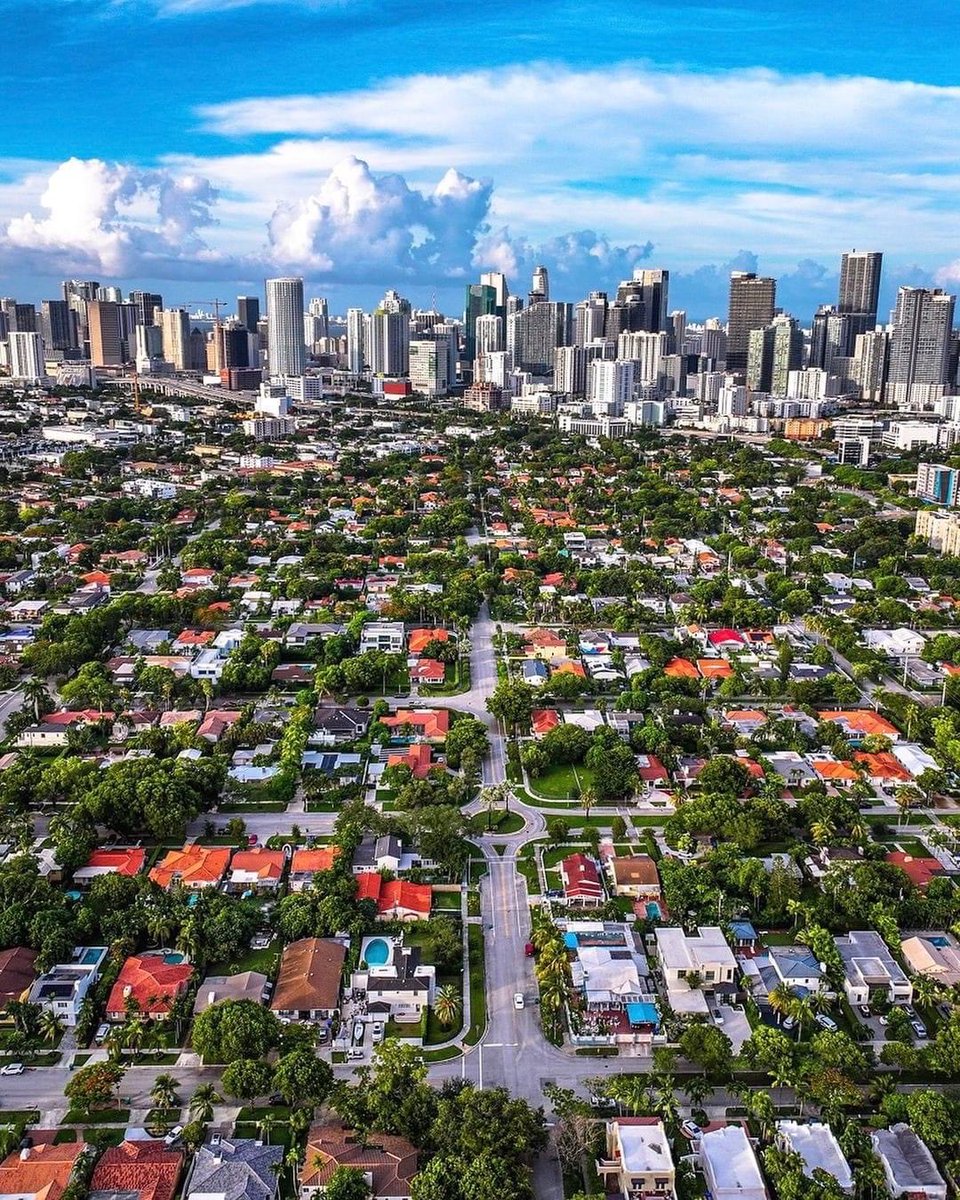 alantree (@alanwangmodify) on Twitter photo 