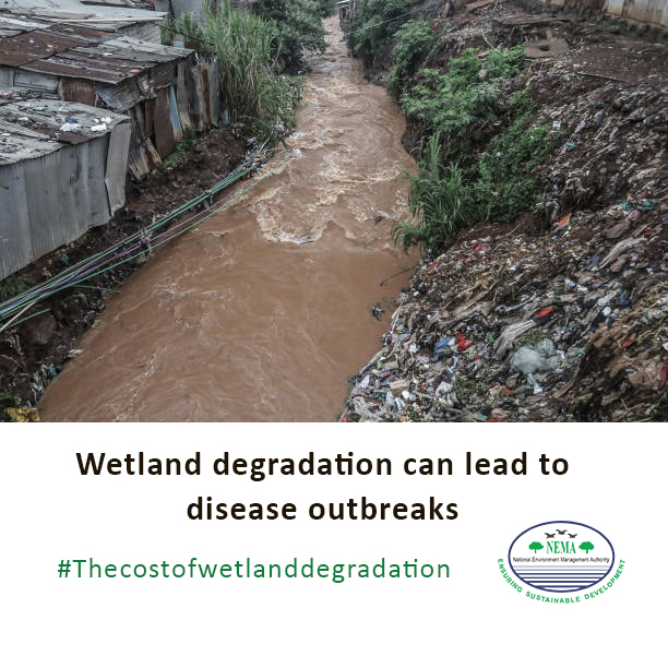 Wetland degradation can lead to disease outbreaks by reducing natural filtration, increasing disease vector populations, creating stagnant water, accumulating pollutants, and contributing to climate change. 
#Thecostofwetlanddegradation
#Protectwetlands
