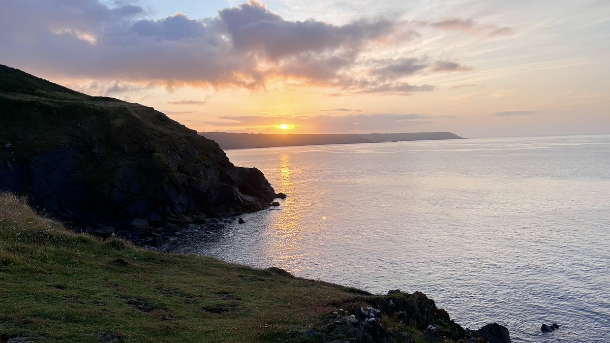 Poltesco seawatch 05:45 - 07:45:
7 Cory’s Shearwater, 2 Chough, 8+ Common Dolphin &amp; 3 Harbour Porpoise