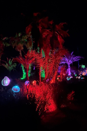 IbizaClick's tweet photo. BIBO Park (Ibiza Botánico Biotecnológico), en Sant Rafel ofrece un nuevo recorrido con miles de luces LED y figuras de luz de ‘Astro magic lights’ 

https://t.co/co3QrmMrII

#agendaibiza #ocioibiza #AstroMagicLights #BiBoPark #IbizaBotánicoBiotecnológico #IbizaClick https://t.co/CoUhjbUduJ