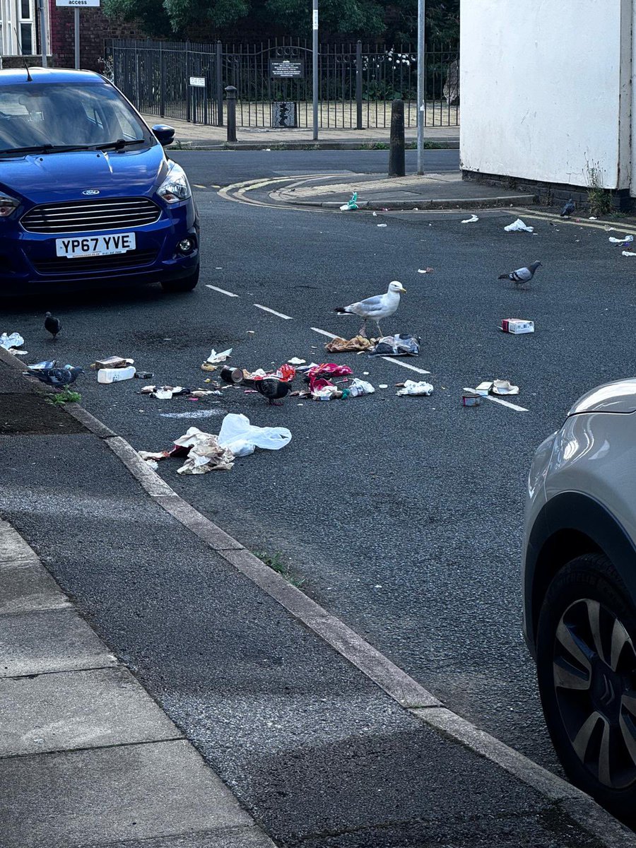 Snappy Mildred tweet media