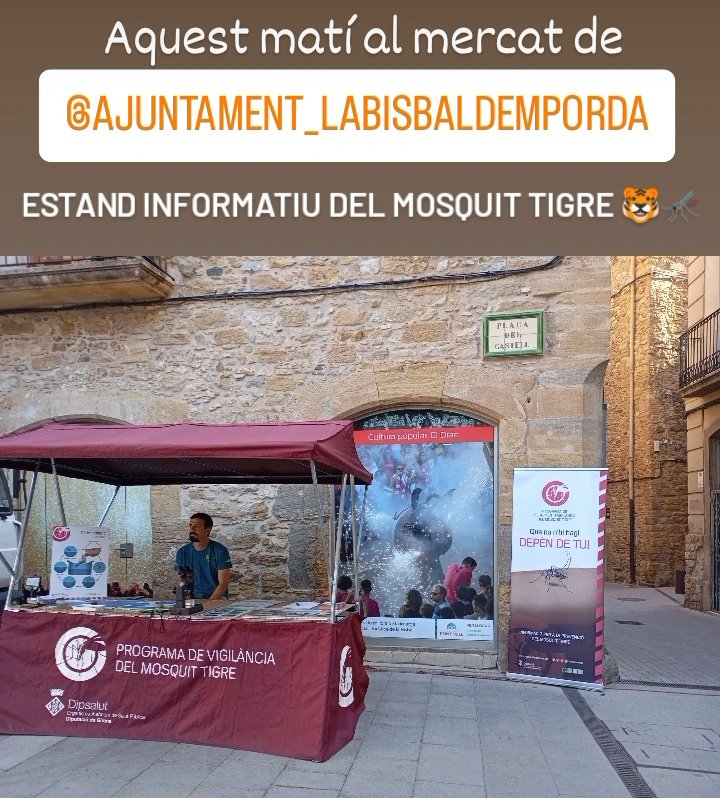 programatigre tweet media