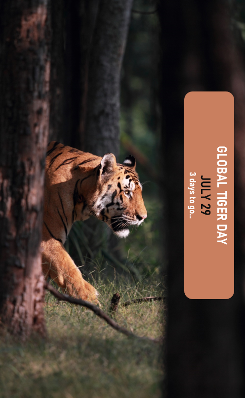 ntca_india's tweet photo. https://t.co/ZhmU6X5CDf