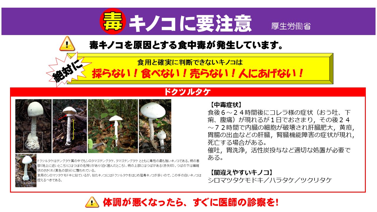 毒きのこ今昔 : 中毒症例を中心にして 毒きのこ今昔 : 中毒症例を中心にして - メルカリ