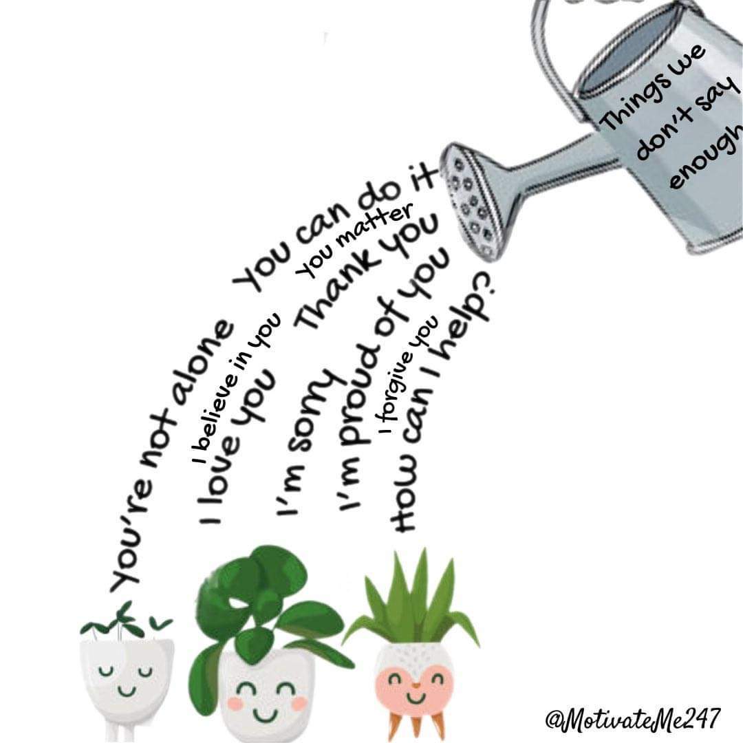 Micromoments are powerful and therapeutic to buffer microtraumas.

Drip feed positive recognition into their emotional currency. 
🧠🌱