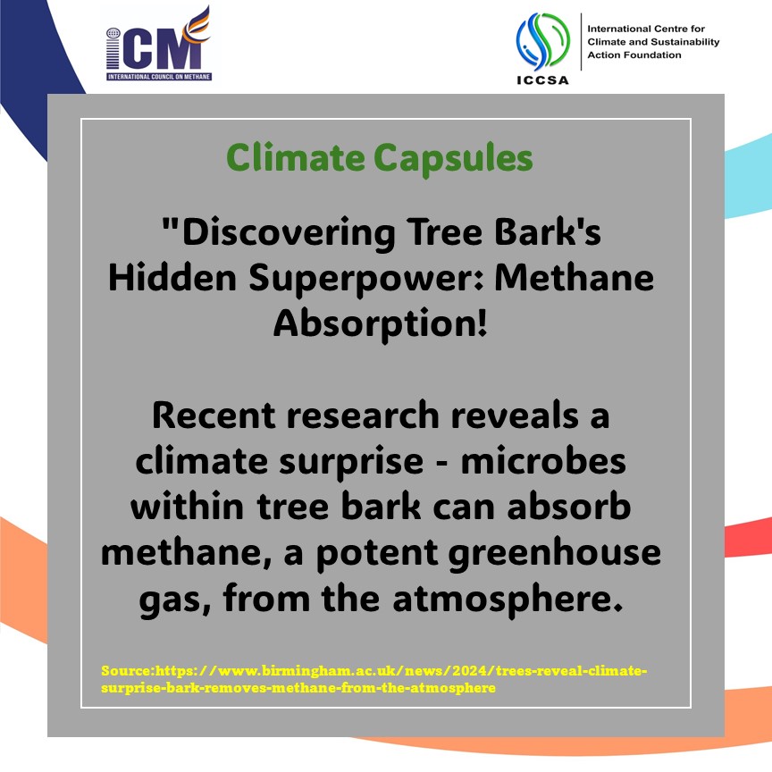 ICCSA Foundation (@iccsafoundation) on Twitter photo #ClimateCapsules: Deepest and Longest conversation on #Methaneglobal #ClimateGoals
Read more: birmingham.ac.uk/news/2024/tree…
<a href="/GlobalMethane/">GMI</a> <a href="/Gmethanehub/">Global Methane Hub</a> <a href="/EnvDefenseFund/">EDF</a> <a href="/UNEP/">UN Environment Programme</a> <a href="/ipcc/">HR</a> <a href="/UNEP_AsiaPac/">UN Environment Programme Asia Pacific</a> <a href="/ICM_IND/">International Council on Methane (ICM)</a> <a href="/IndiaDST/">DSTIndia</a> <a href="/CSEINDIA/">CSEINDIA</a> <a href="/teriin/">TERI</a> <a href="/CCACoalition/">Climate & Clean Air Coalition</a> @EDFCleanAir #ClimateCapsules: Deepest and Longest conversation on #Methaneglobal #ClimateGoals
Read more: birmingham.ac.uk/news/2024/tree…
<a href="/GlobalMethane/">GMI</a> <a href="/Gmethanehub/">Global Methane Hub</a> <a href="/EnvDefenseFund/">EDF</a> <a href="/UNEP/">UN Environment Programme</a> <a href="/ipcc/">HR</a> <a href="/UNEP_AsiaPac/">UN Environment Programme Asia Pacific</a> <a href="/ICM_IND/">International Council on Methane (ICM)</a> <a href="/IndiaDST/">DSTIndia</a> <a href="/CSEINDIA/">CSEINDIA</a> <a href="/teriin/">TERI</a> <a href="/CCACoalition/">Climate & Clean Air Coalition</a> @EDFCleanAir