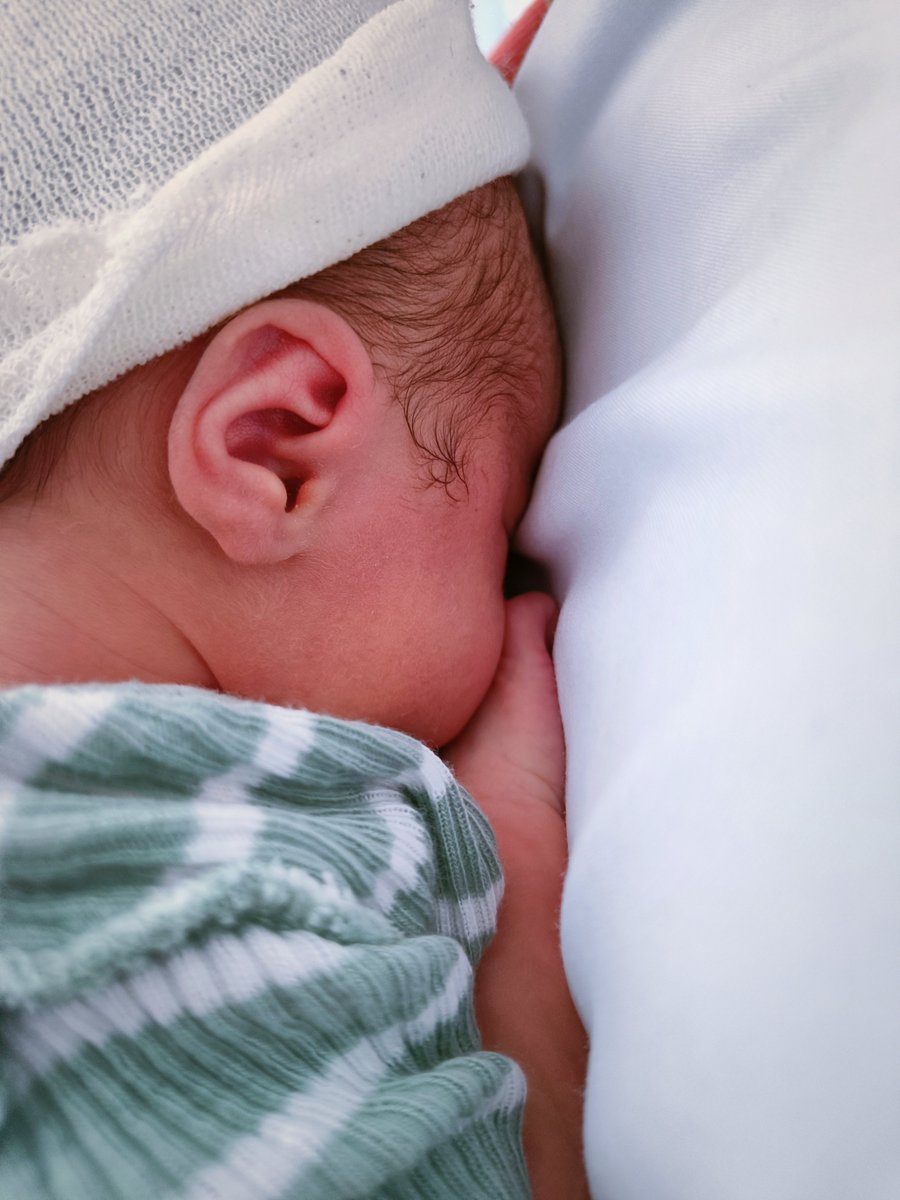 Haydé Negro tweet media