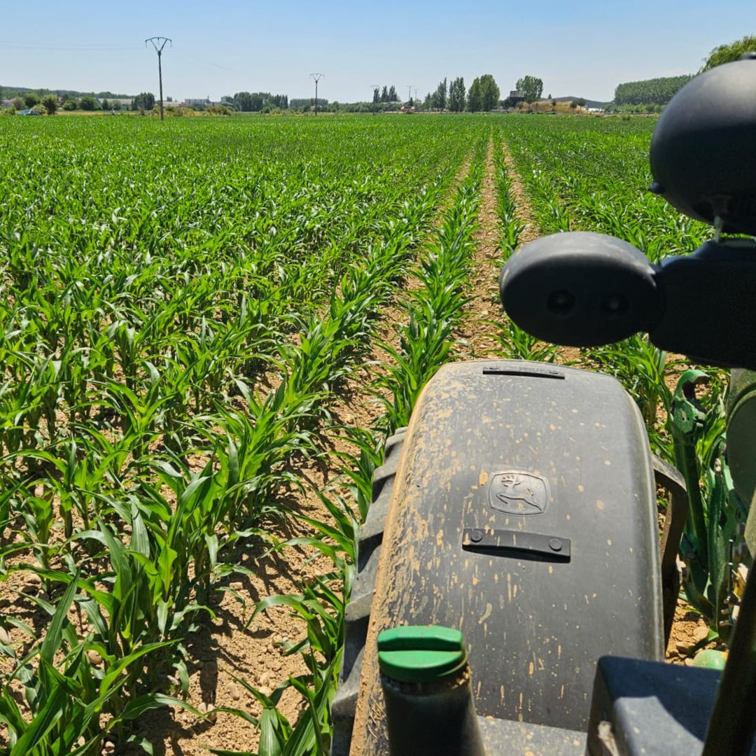 YaraIberian's tweet photo. 💫 ¿Magia? ¡No, es nuestra herramienta #Atfarm!
🚜 Junto a nuestros amigos de Casa Riaño, estamos llevando a cabo un ensayo de #fertilización variable en #maíz usando una #abonadora convencional, ajustando la velocidad de avance desde el móvil.
🗓️ ¡Estad atentos! En unos días os contamos más.
📸 Alejandro García.
#Agricultura #KnowledgeGrows
@Yara @YaraEurope