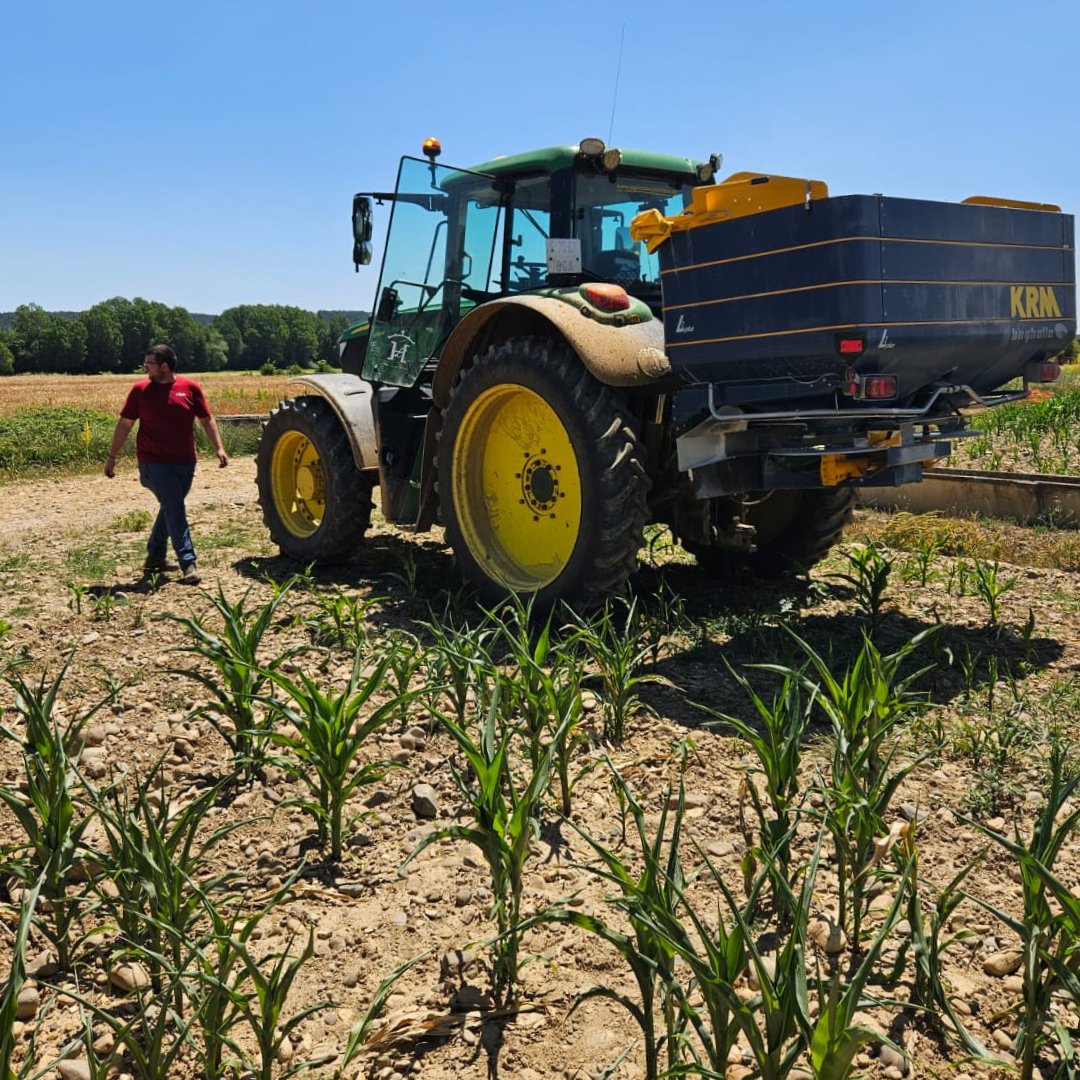 YaraIberian's tweet photo. 💫 ¿Magia? ¡No, es nuestra herramienta #Atfarm!
🚜 Junto a nuestros amigos de Casa Riaño, estamos llevando a cabo un ensayo de #fertilización variable en #maíz usando una #abonadora convencional, ajustando la velocidad de avance desde el móvil.
🗓️ ¡Estad atentos! En unos días os contamos más.
📸 Alejandro García.
#Agricultura #KnowledgeGrows
@Yara @YaraEurope