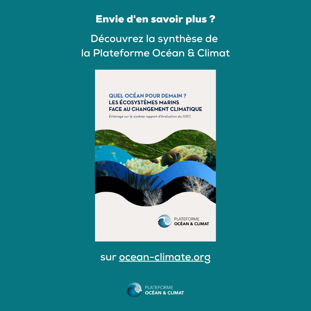 🎉 Célébrez la #JournéeInternationale pour la conservation des #Mangroves 🌿&amp; apprenez en + sur leur rôle pour le #climat 🌍&amp; la #biodiversité avec notre 📚publication "Quel #océan 🌊pour demain? Les écosystèmes marins face au changement climatique" 🔗bit.ly/3Jn641b