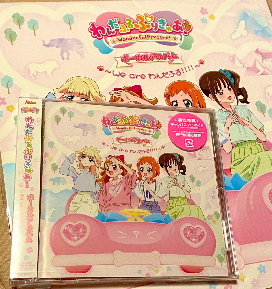 わんぷりのボーカルアルバム
ようやく引き取れたーー

めっちゃ良いなコレ 