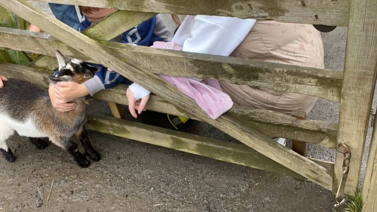 🌧️🦧🐠🪿🦖🌂🐮🐒🐰

We have been quiet on social media but lots going on behind the screens. We had a little Rainbow Friends group at Blair Drummond last week as part of our ‘summer’ programme despite the weather. 

NEVERTHELESS FUN WAS HAD BY ALL 🥰🥰