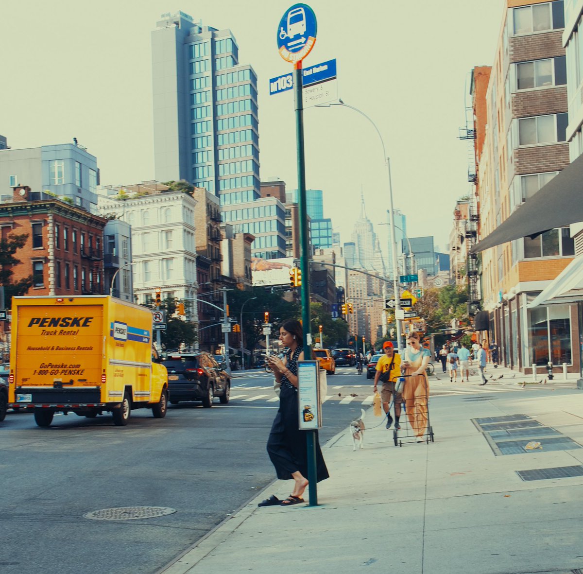 Tim Bush tweet media