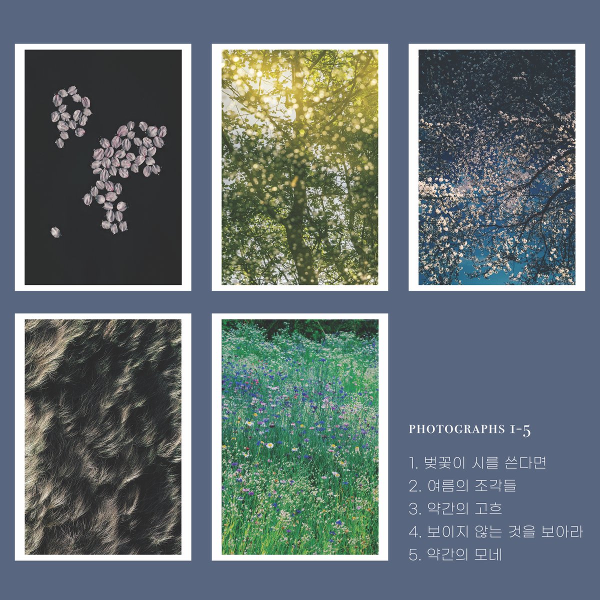 kchae's tweet photo. ALCHEMY 엽서북 1차 예판이 이번 주말로 마무리 됩니다. 15장의 마법 같은 사진들을 소장할 수 있는 기회를 놓치지 마시라...!

https://t.co/DbaiYDBz2h https://t.co/nAL7uqLLkG