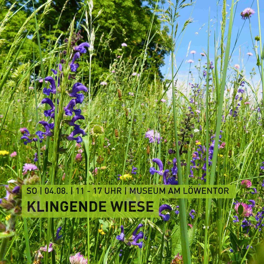 Naturkundemuseum Stuttgart (@smnstuttgart) on Twitter photo #SavetheDate
Auf bunten Wiesen summen und brummen nicht nur Bienen und Käfer. Auch andere Tiere verschaffen sich lautstark Gehör! 🐞
Am 4.August lädt die <a href="/buntewiese_S/">Bunte Wiese Stuttgart</a> zum Aktionstag "Klingende Wiese" ein – passend zur aktuellen Sonderausstellung "Tönende Tiere"! 🎶🐛 #SavetheDate
Auf bunten Wiesen summen und brummen nicht nur Bienen und Käfer. Auch andere Tiere verschaffen sich lautstark Gehör! 🐞
Am 4.August lädt die <a href="/buntewiese_S/">Bunte Wiese Stuttgart</a> zum Aktionstag "Klingende Wiese" ein – passend zur aktuellen Sonderausstellung "Tönende Tiere"! 🎶🐛