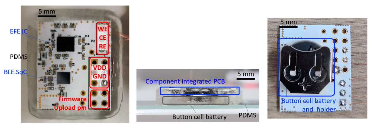 Sensors_MDPI's tweet image. Sensitive Electrochemical Non-Enzymatic Detection of Glucose Based on Wireless Data Transmission
mdpi.com/1424-8220/22/7…
#microneedle electrode array; #continuous glucose monitoring; #wireless data transmission; #chronoamperometry; #platinum black; #glucose sensor