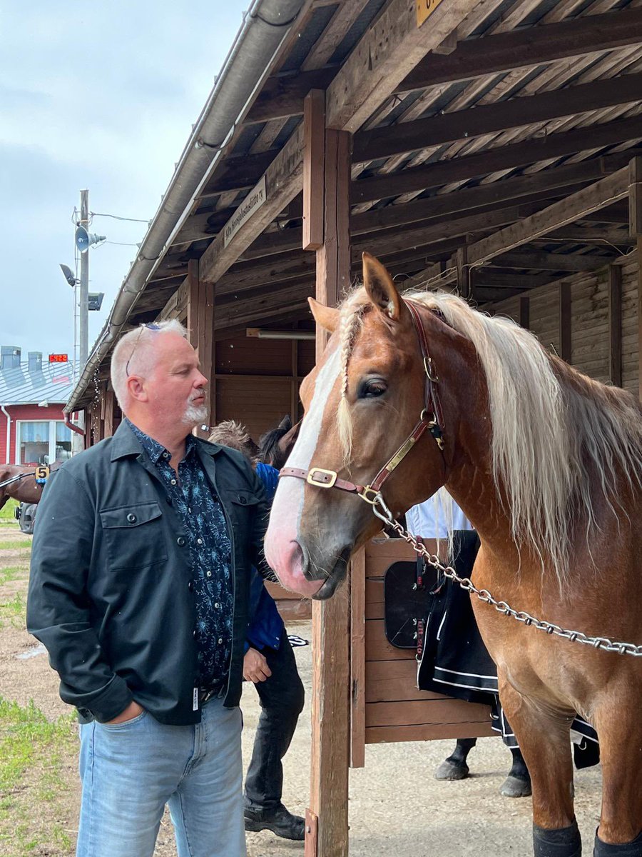 Kuninkuusravit perjantai - meitsin pääpäivä! 🎉 I.P. Ruuti starttaa Kunkkarilegendat lähdössä. 🏁 Ohjastuksesta vastaa Suomen Tim Tetrick - Antti Ojanperä 👑 Hepalla kaikki kunnossa, pärjäämistä odotellaan. #kunkkarit2024 #ojanperä #ravit <a href="/killerinravit/">Killerin Ravirata</a> <a href="/Kunkkarit/">Kuninkuusravit</a>