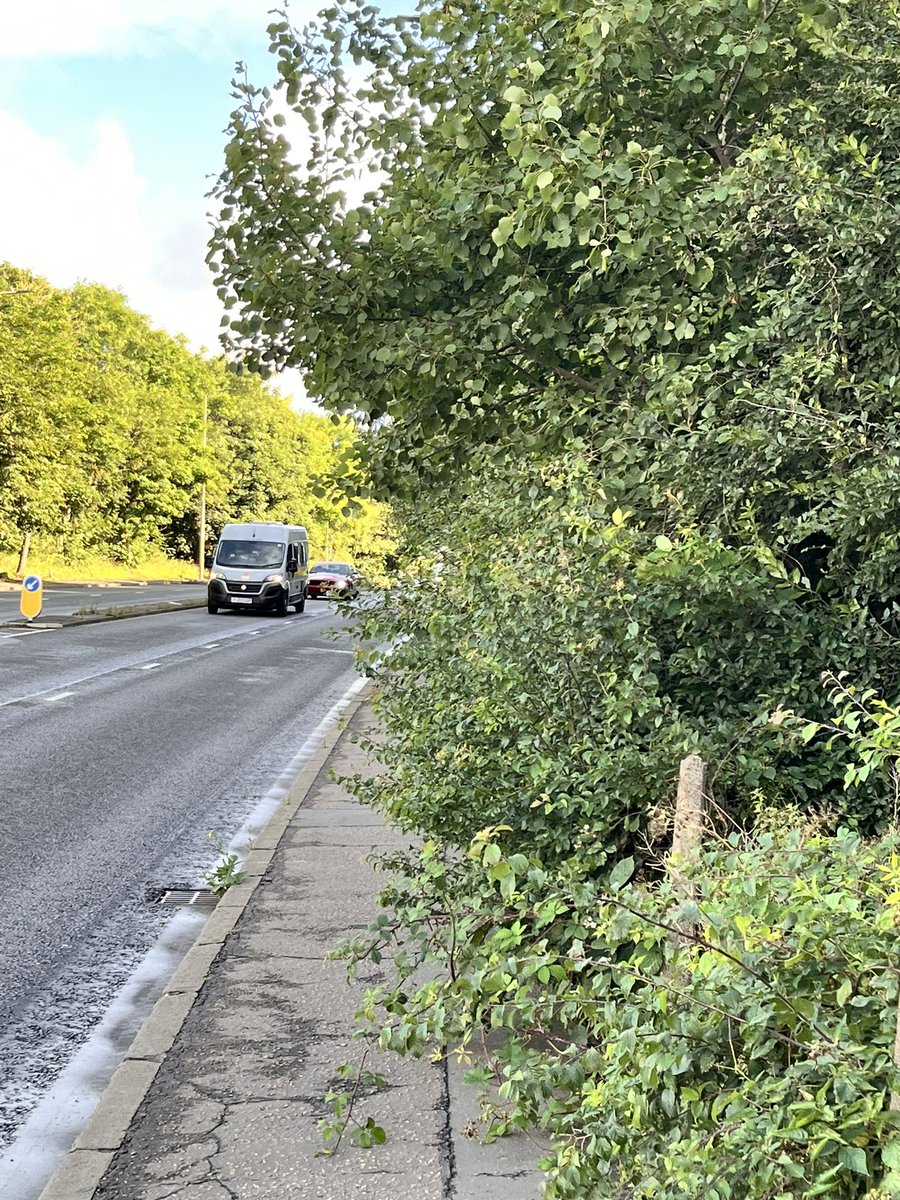 KM_Edinburgh's tweet photo. @edinhelp please can the hedgerows on  both sides of Maybury Road between Craigs Rd and N Gyle Terrace be trimmed back - sections of footway are unsafe.  Thanks. https://t.co/xJgjrbpf0r