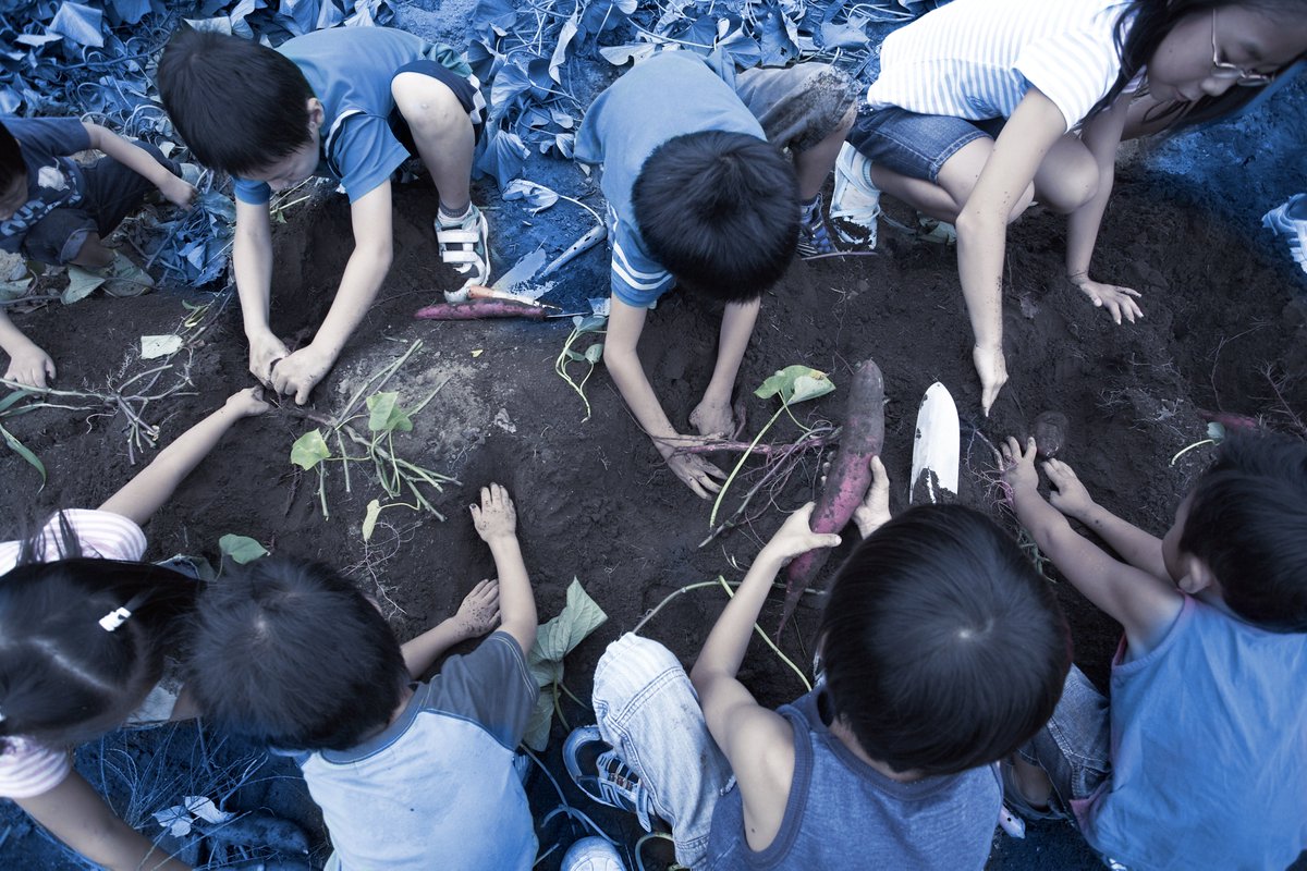 Abbiamo chiesto a più di 80 interlocutori di aiutarci a comprendere quali sono gli aspetti ritenuti di maggiore impatto tra 18 temi rilevanti per #FondazioneMediolanum.
🔍 Trovi i risultati di questa #analisidimaterialità nel nuovo #BilancioSociale 2023 >> fmed.it/BS23