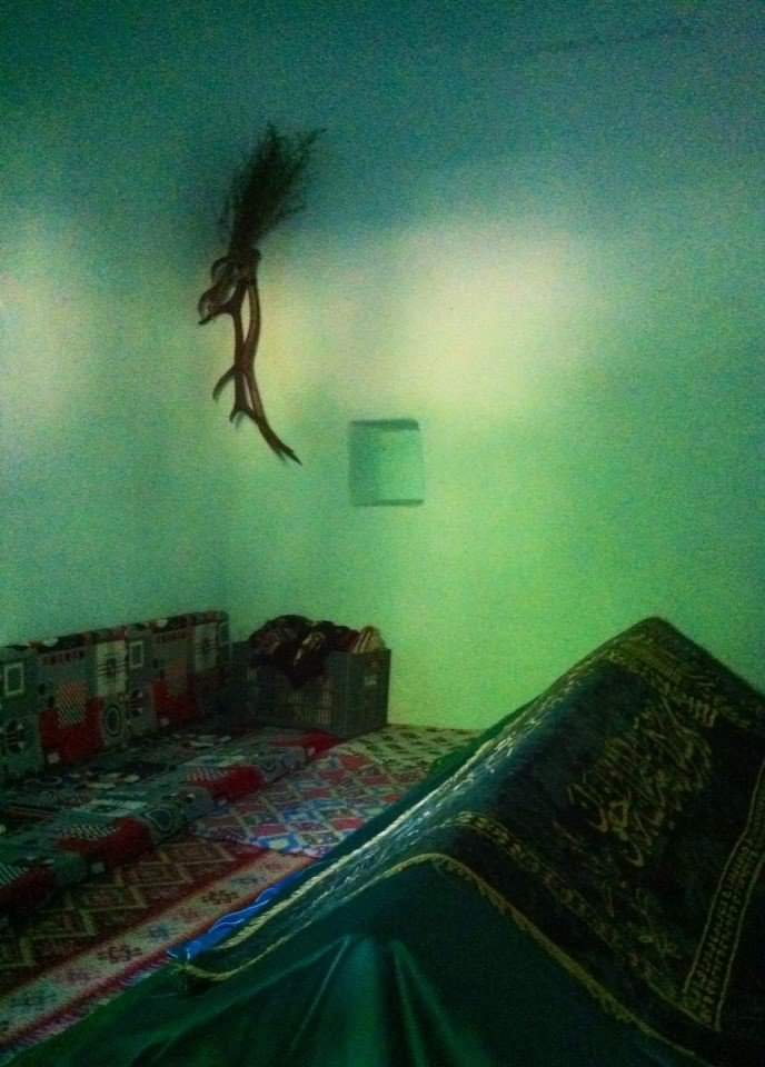 Denizli'de iki Türk inanç merkezi biri camii minberi diğeri Bektaşi türbesi ikisinde de geyik boynuzları mevcut
Peki geyık boynuzları neden ordalar ? 
Herhalde geyik muhabeti olsun diye konmamışlardır..+