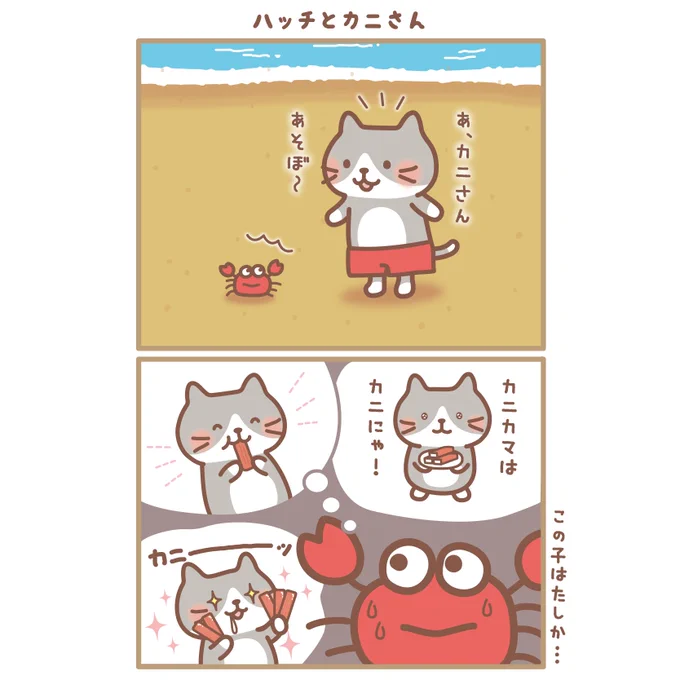 ハッチ「カニさんと追いかけっこしたの!楽しかったにゃ～✨」

#ふくふくにゃんこ集会 
