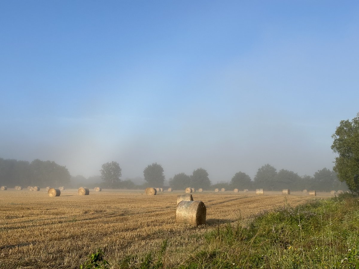 ChateaudeCourt's tweet photo. Today's Letter from Elisabeth...Heroes and villains in the bucolic countryside- [Campaign URL] https://t.co/mgfJOUwWNN