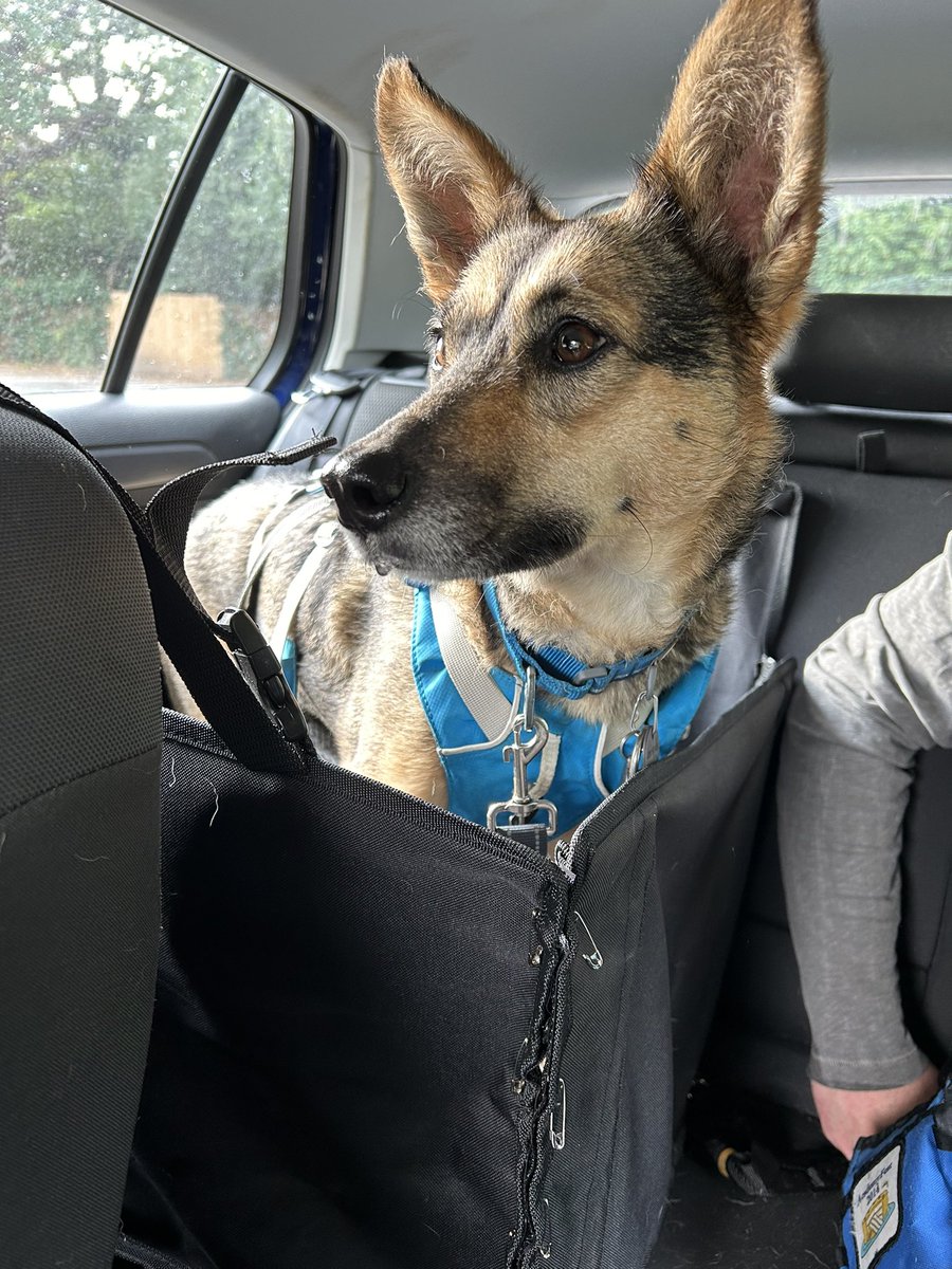 Rory Cellan-Jones tweet media