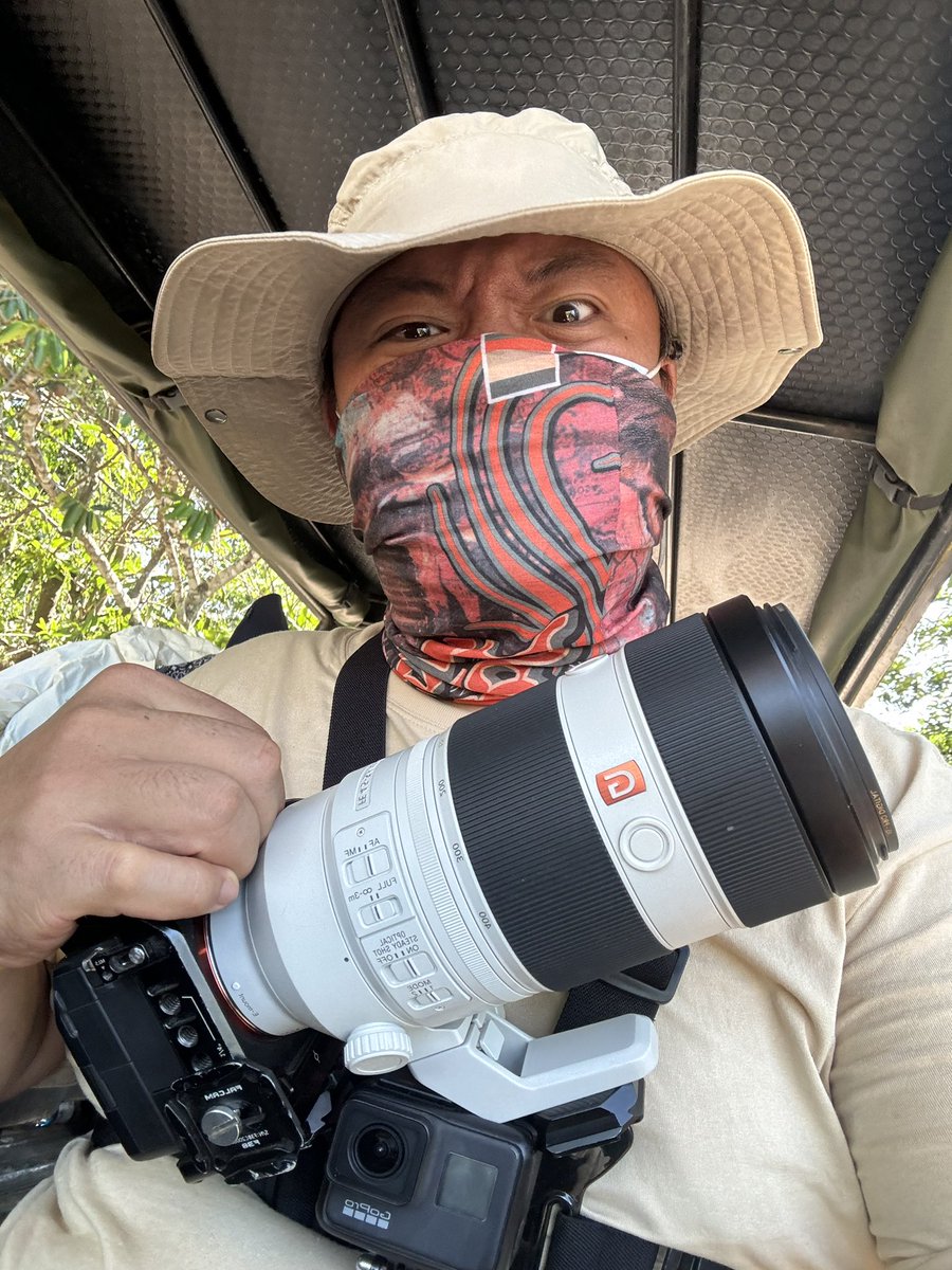 小島樹 tweet media