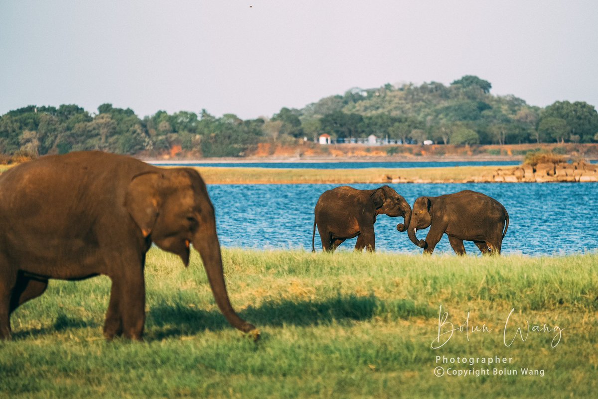 小島樹 tweet media