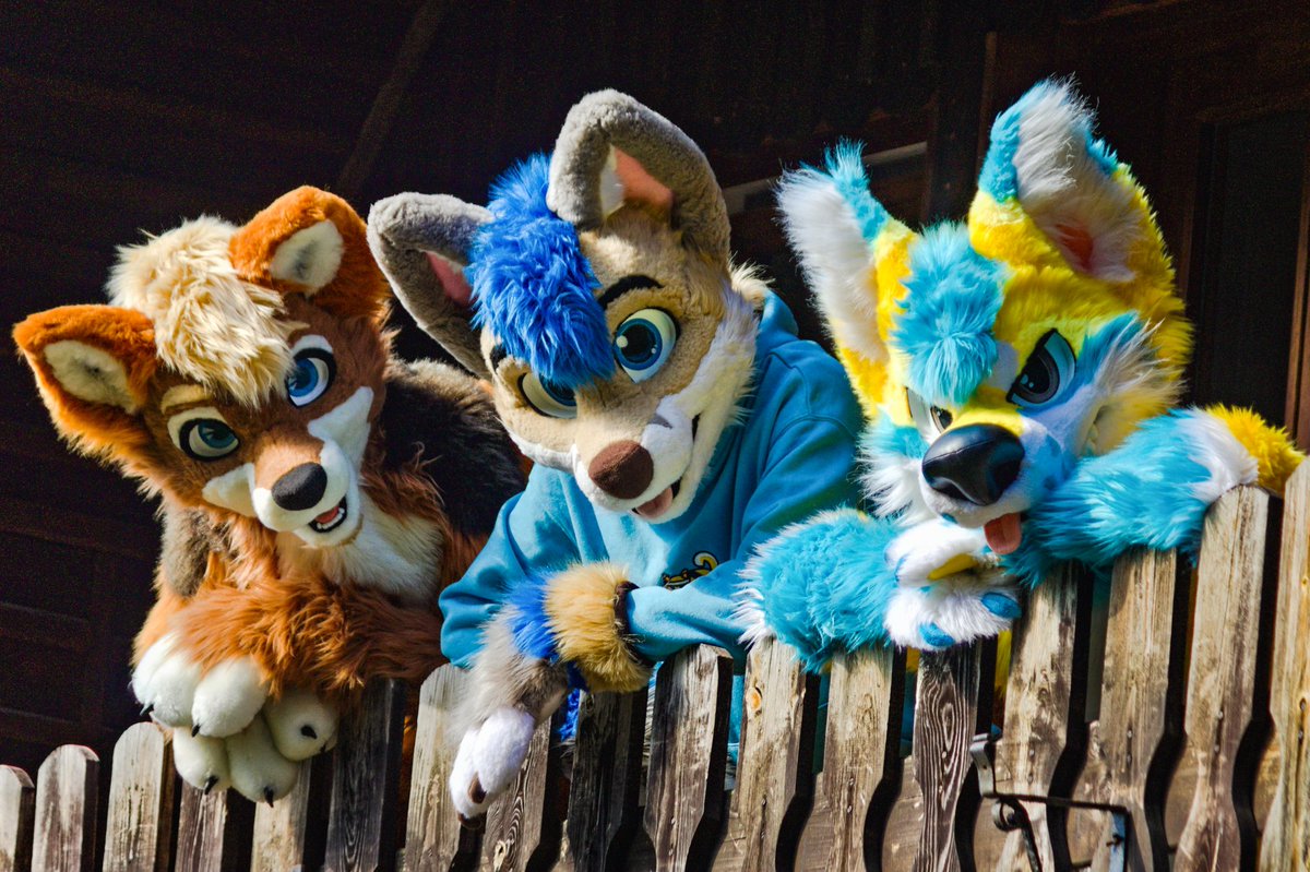 👀 👀 👀 
#FursuitFriday
📸 <a href="/Feiro602/">Feiro</a>
