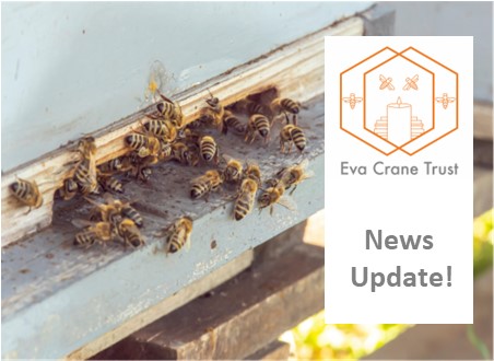 ✨ More Great News! ✨
With the launch of our new website next week, the Eva Crane Trust will also begin accepting grant applications! 🌐🎉
Look out for the new platform, coming soon! bit.ly/2lgdJXk
