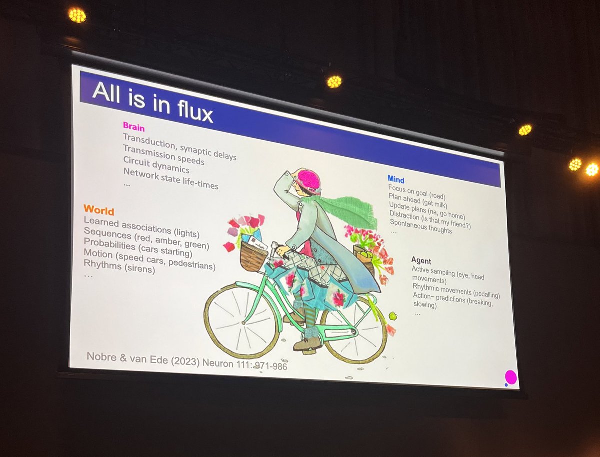GiacomoAriani's tweet image. Engaging tour de force talk by @KiaNobre on the second day of #CogSci2024. All the fascinating ways in which working memory interacts with perception, attention, and movement. @cogsci_soc
