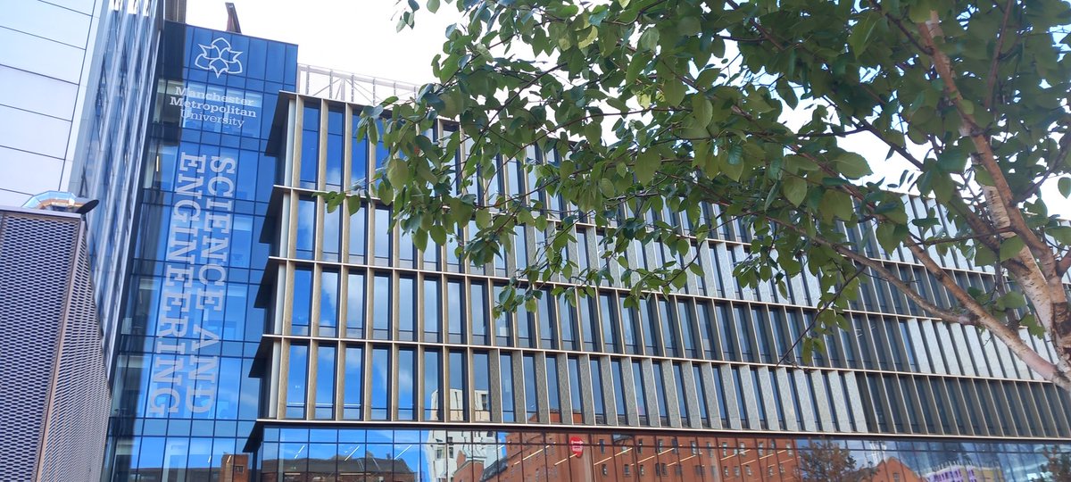 Julie Miller tweet media