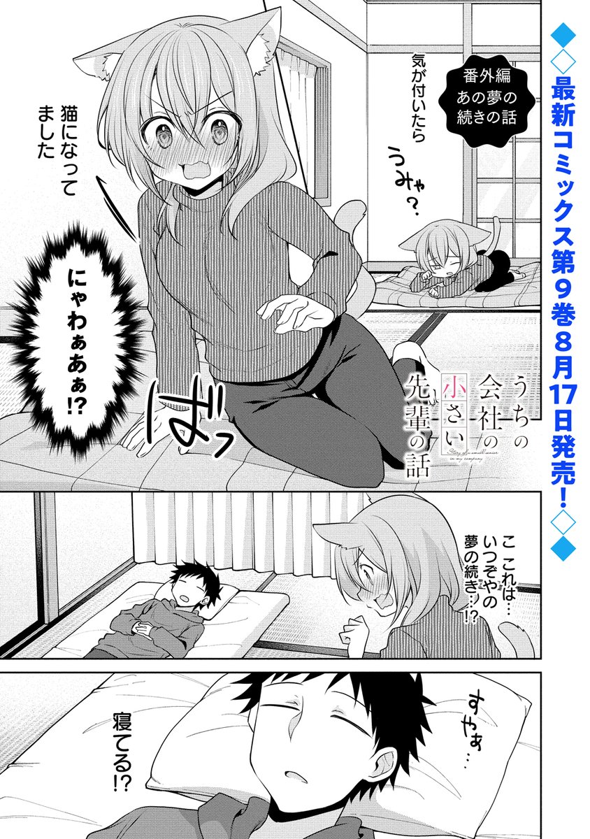 猫な先輩🐈(1/2) #うちの会社の小さい先輩の話