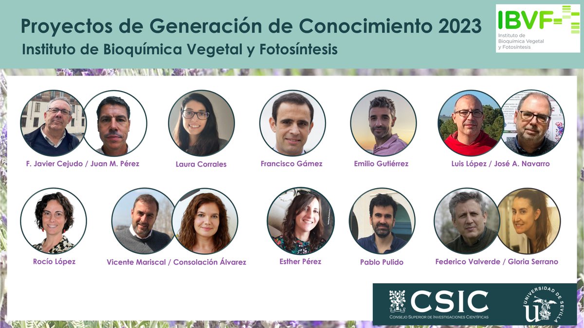 IBVF (@ibvf_sevilla) on Twitter photo We are really happy that we have 10 funded projects by @Ageinves in 2023 Proyectos Generación de Conocimiento call, more than 1.8 million € and 6 predoctoral contracts @GLO_SB <a href="/lopez_igual/">Rocío López Igual</a> <a href="/Vmariscal_BioN2/">Vicente Mariscal</a> We are really happy that we have 10 funded projects by @Ageinves in 2023 Proyectos Generación de Conocimiento call, more than 1.8 million € and 6 predoctoral contracts @GLO_SB <a href="/lopez_igual/">Rocío López Igual</a> <a href="/Vmariscal_BioN2/">Vicente Mariscal</a>