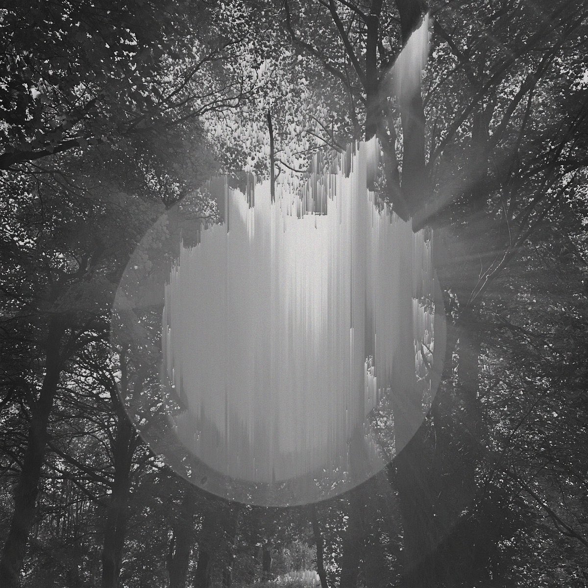 The Microgram tweet media