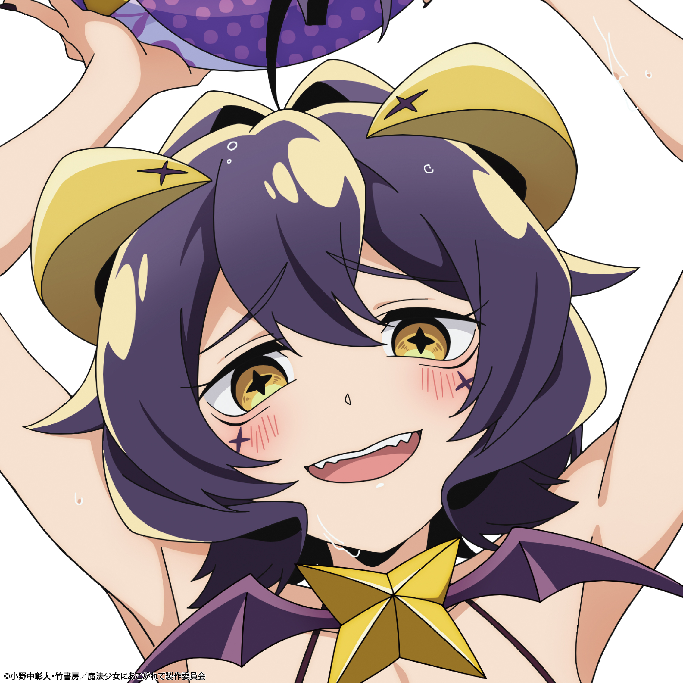 魔法少女にあこがれて まほあこ グッズセット コミケ C104 612ZFuadCxL._UF350,350_QL50_.jpg