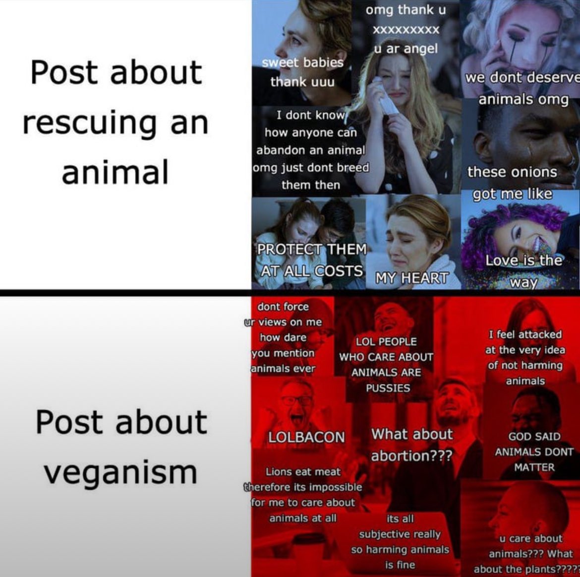 out of context vegan tweet media