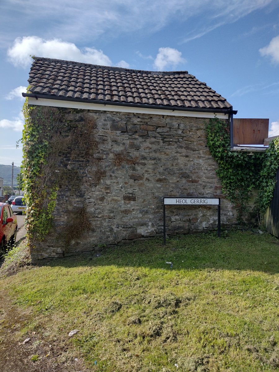 Chris Hall - SALT tweet media