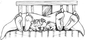 Beth Haslam tweet media